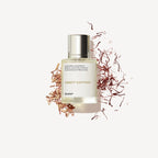 Dossier Ambery Saffron EDP 1,7 oz / 50 ml – Profumo regalo unisex orientale ambrato speziato a lunga durata 
