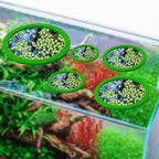 5 pezzi EVA anello di alimentazione per pesci acquario galleggiante per piante barriera galleggiante per acquario stagno accessori anelli per piante 
