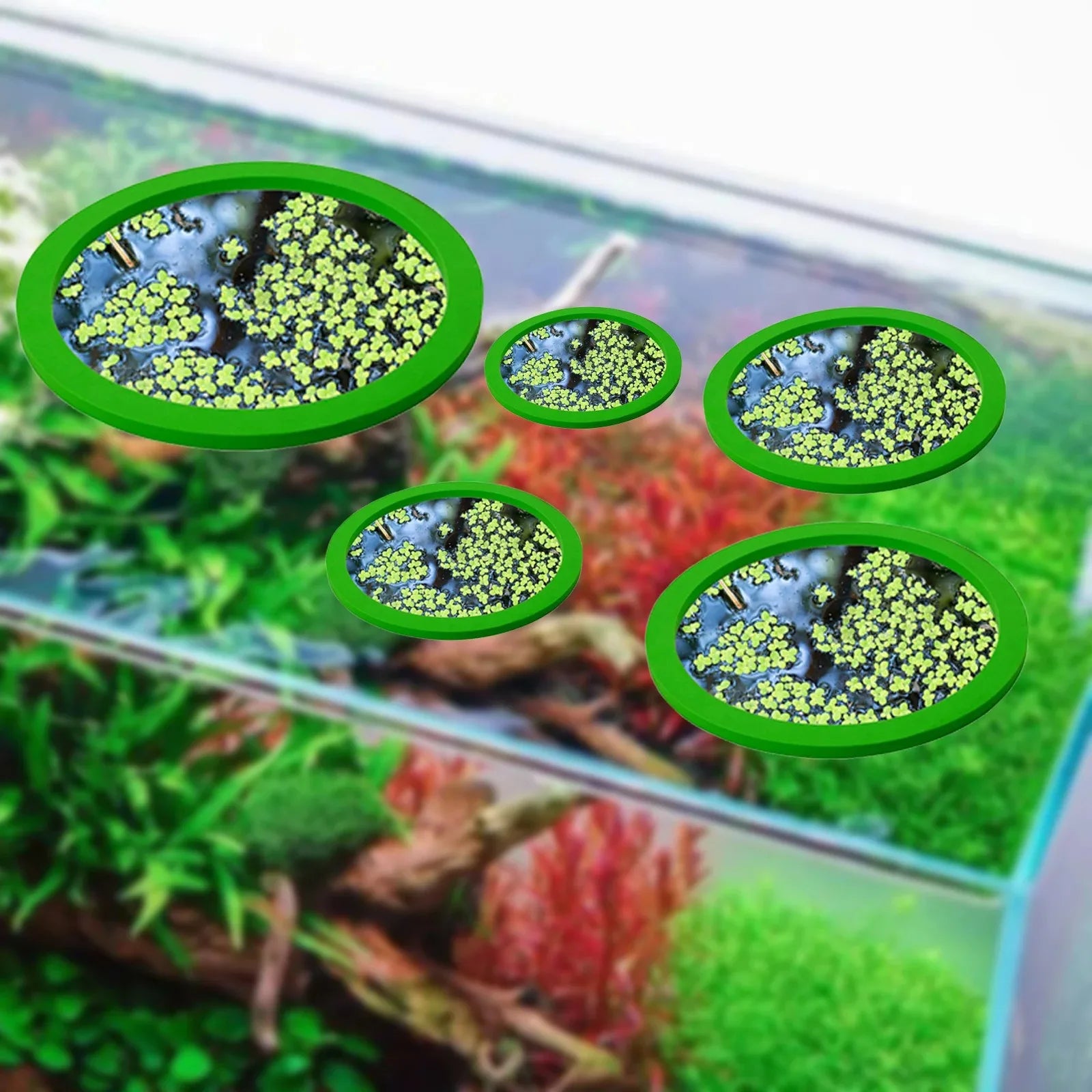 5 pezzi EVA anello di alimentazione per pesci acquario galleggiante per piante barriera galleggiante per acquario stagno accessori anelli per piante 
