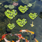 5 pezzi EVA anello di alimentazione per pesci acquario galleggiante per piante barriera galleggiante per acquario stagno accessori anelli per piante 